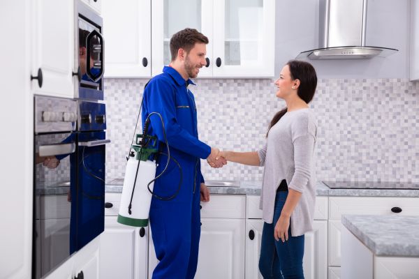 Colorado Springs Pest Control Service