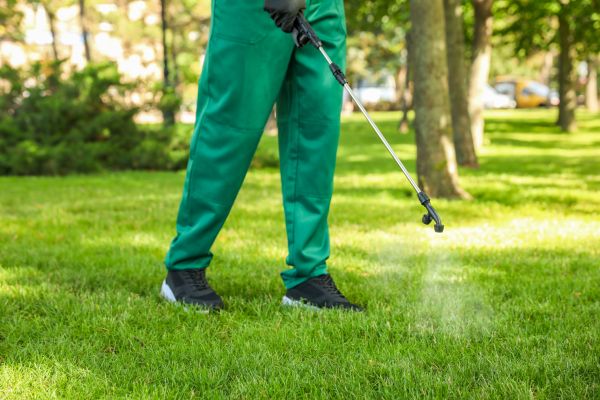 Colorado Springs Lawn Treatment